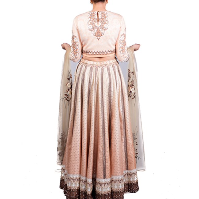 Beige Ombre Lehenga - Image 2